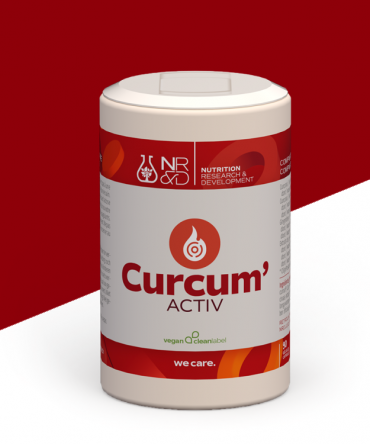 Curcum'Activ